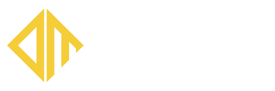Dzida Media - AI Soludtions - Web development 